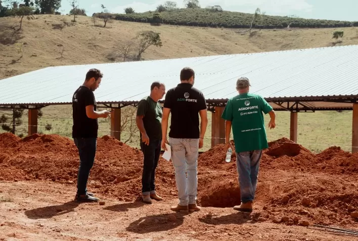 Fintech AgroForte passa a disponibilizar crédito aos avicultores