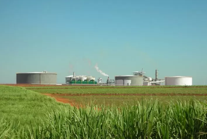 Expansão no setor sucroenergético: etanol de milho cresce 36%, enquanto produção de cana alcança recorde