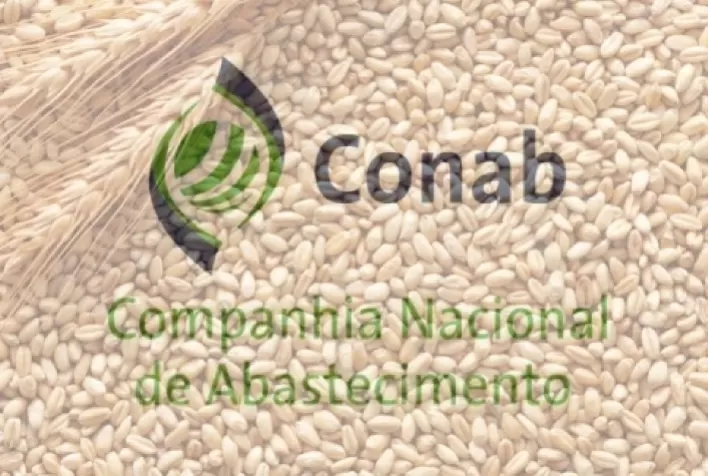 Conab realiza sexta rodada de leilões de apoio à comercialização de trigo