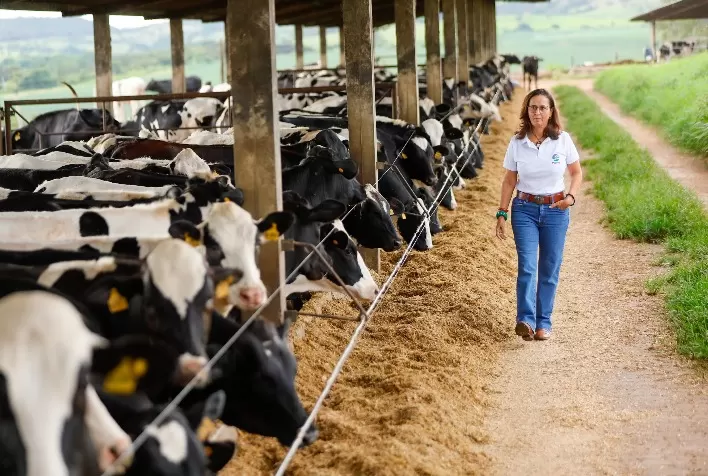 Propriedade em Luziânia (GO) alcança eficiência na gestão e sanidade do rebanho com auxílio da tecnologia
