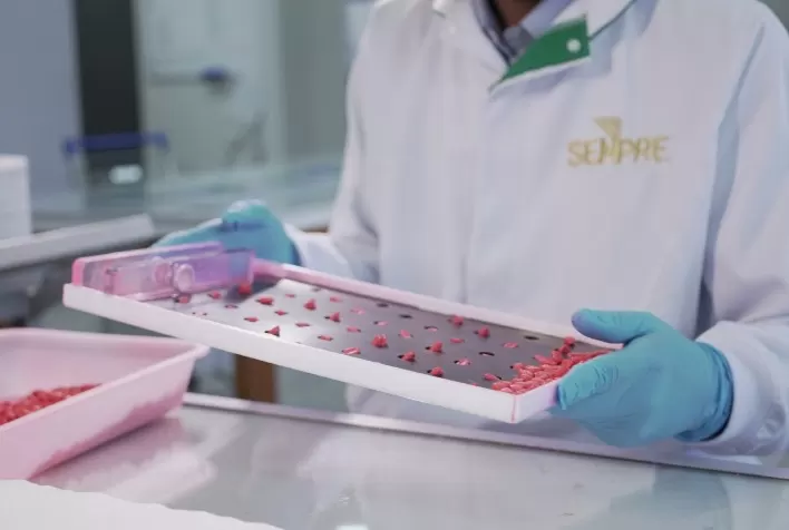 Sempre AgTech dispõe mais de 80 vagas de trabalho em Uberlândia