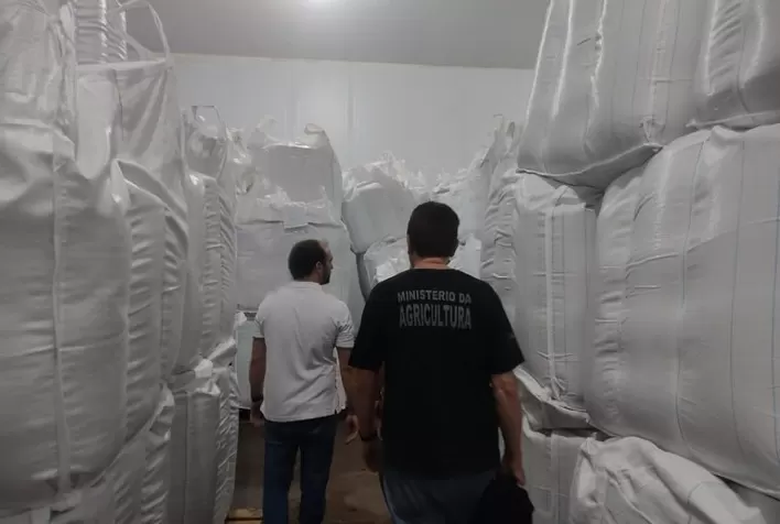 Mais de 350 toneladas de sementes irregulares são apreendidas em operações de fiscalização do Mapa