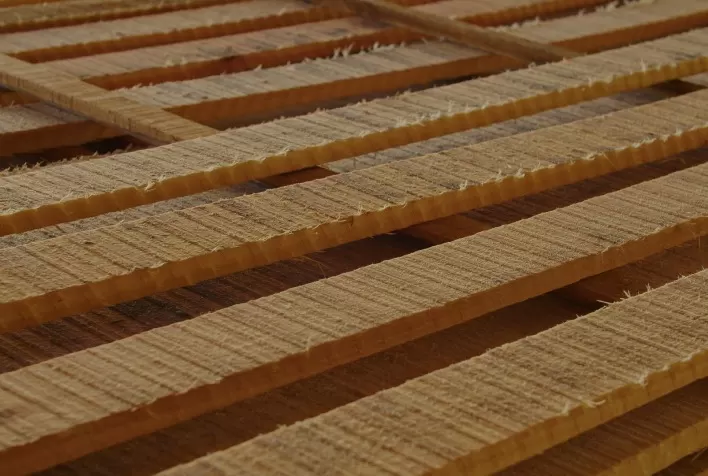 WoodFlow abre espaço para madeireiras para exporem na principal feira asiática de madeira