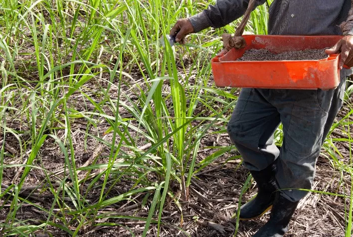 Conheça a alternativa sustentável para o uso de fertilizantes na agricultura