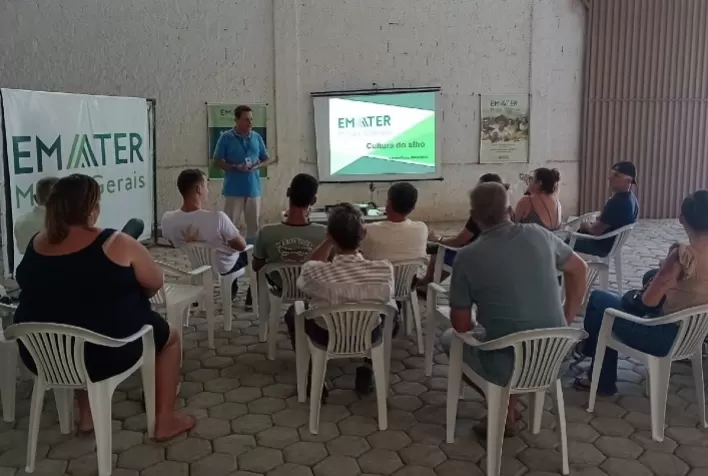 Emater-MG incentiva produção de alho na Zona da Mata mineira