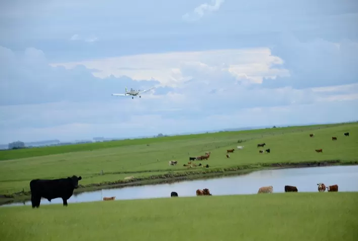 Perdas com o clima e questões fundiárias movimentaram direito agrário em 2023