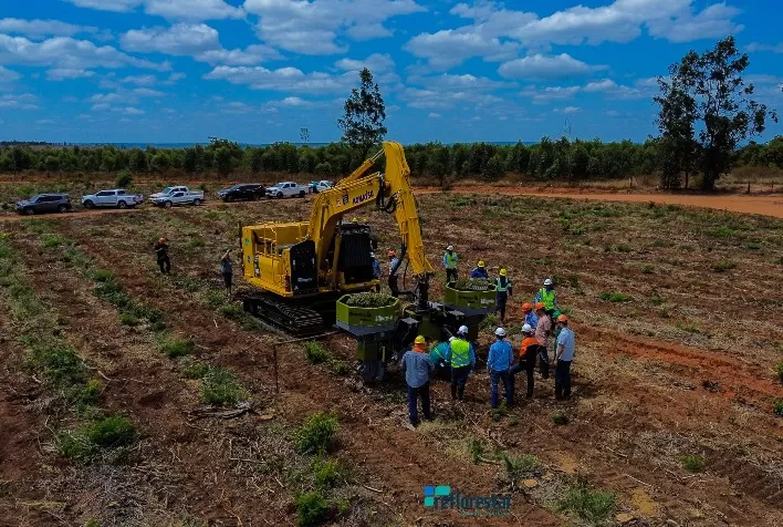 Reflorestar faz “Dia de Campo” para demonstração de plantio mecanizado em Minas Gerais