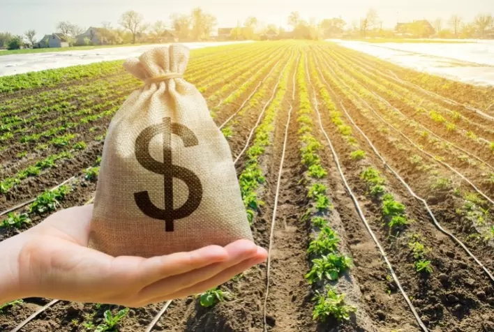 Crédito rural já atinge R＄ 22,5 bilhões no Sicoob, alta de 34%