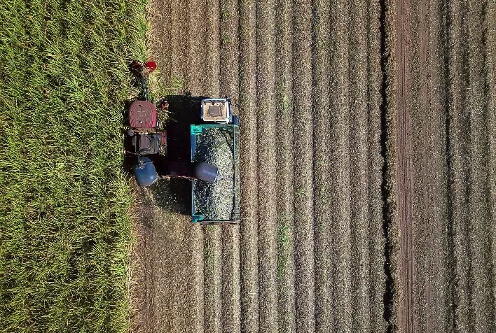 BrasilAgro encerra colheita de cana e atinge 103 toneladas por hectare no Centro-Oeste