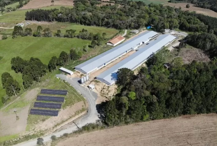 Na Seara, 55% das granjas de produtores integrados já utilizam energia solar