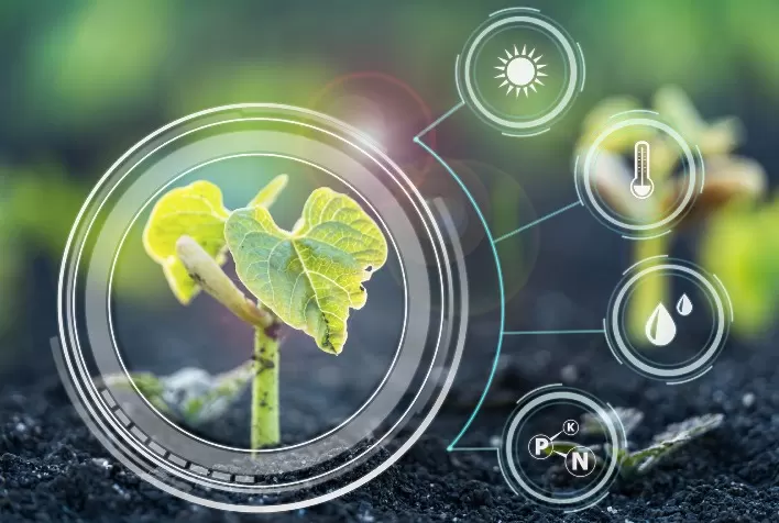 Análises laboratoriais têm importância vital para a agricultura e aumento de produtividade