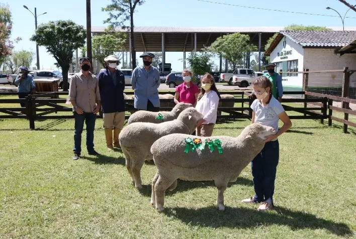 Embrapa Pecuária Sul participa da 16ª Agrovino de Bagé