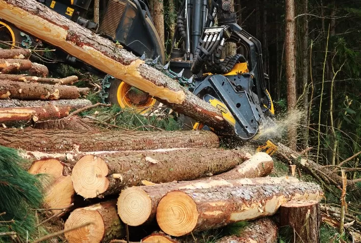 Desenvolvimento sustentável no setor de base florestal exige eficiência nos insumos
