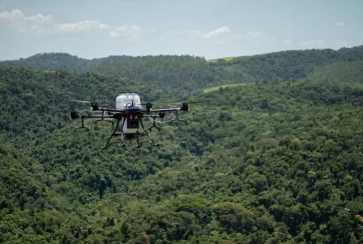 Fazenda no Rio de Janeiro entra no mercado de carbono com reflorestamento sem investimento inicial