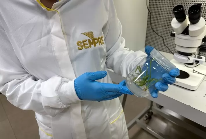 Sempre AgTech projeta crescimento de 10% no mercado nacional em 2024
