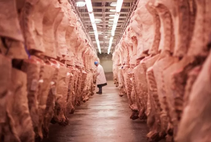 Exportação de carne bovina apresenta crescimento de 35,5% na segunda semana de janeiro/24