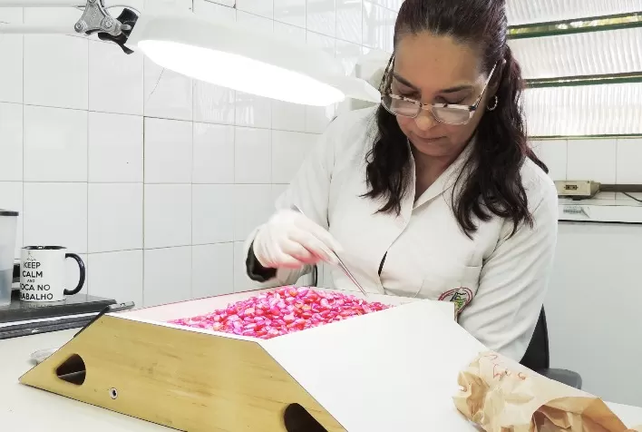 Laboratório de Análise de Sementes da Agrodefesa alcança nota máxima em teste nacional