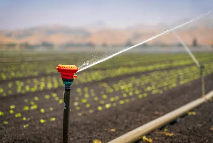 Irrigação pode ajudar produtor a enfrentar irregularidade de chuvas provocadas pelo El Niño