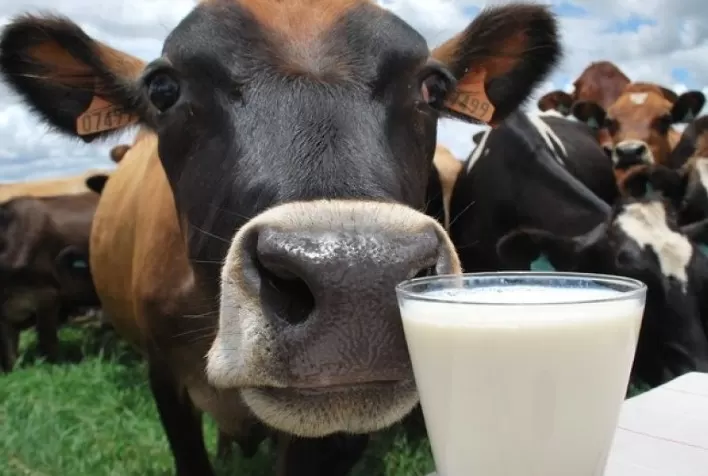 Kersia aborda sobre a qualidade na produção leiteira da fazenda à casa do consumidor