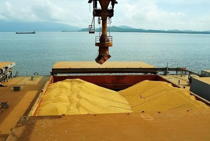 Crescimento expressivo: Mato Grosso aumenta em 18% suas exportações de milho
