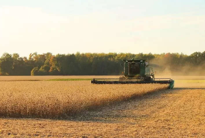 AgRural: Quebra e antecipação do ciclo puxam colheita de soja do Brasil para 6%