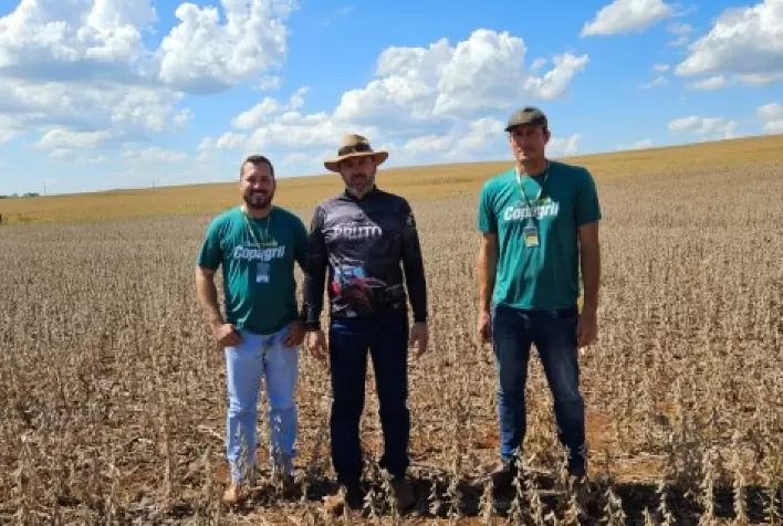 AGRO: Fenômeno climático El Niño antecipa a safra de soja 2023/2024