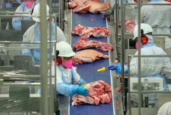 Frente a uma queda de 11,52 no preço médio, carne suína registra redução de 1,78% no volume embarcado e 13,10% na receita cambial