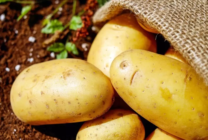 Escassez Impulsiona Valorização: Preços da Batata em Alta nos Atacados devido à Baixa Oferta