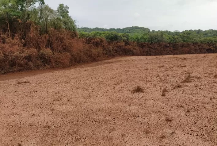 Curvas de nível, plantio direto e solo sempre coberto evitam degradação