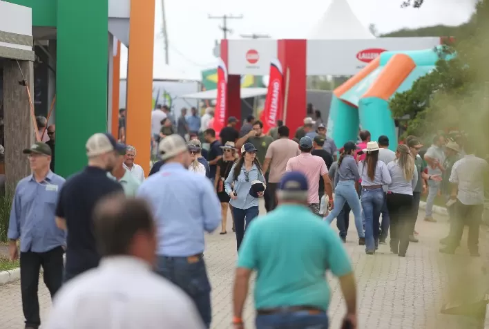 Abertura da Colheita do Arroz movimenta o turismo e a economia da região Sul do Estado