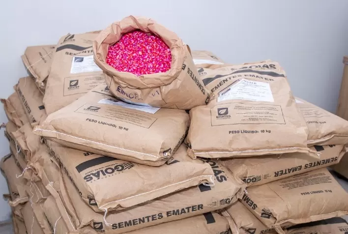 Emater comercializa sementes a preços acessíveis para agricultores familiares goianos