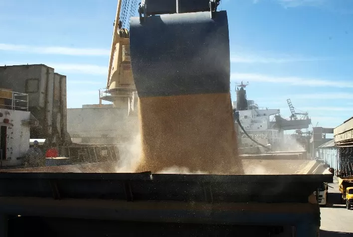 Exportação de trigo do Brasil em janeiro atinge maior volume em mais de 1 ano, indica Anec