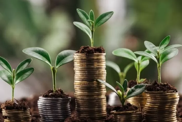 Crédito Rural e regularização ambiental: uma aliança estratégica para o produtor rural