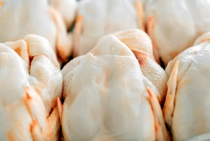 Desempenho do frango abatido na quinta semana de 2024, passagem de janeiro para fevereiro