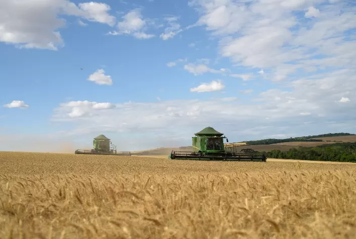 Rio Grande do Sul reforça oferta mais apertada de trigo 2023/24