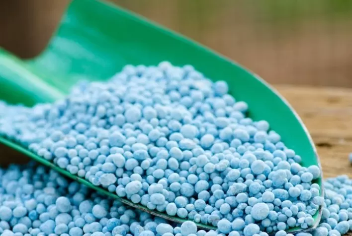 Agricultor tem momento favorável para compra de fertilizantes