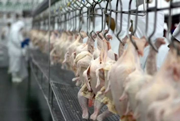 Desempenho do frango abatido na sexta semana de 2024, segunda do mês de fevereiro