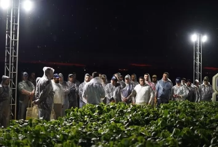 Sementes Batavo, da Frísia, apresenta as principais cultivares das maiores obtentoras de soja do Brasil