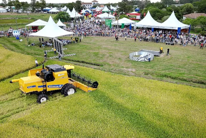 Abertura da Colheita do Arroz terá painéis sobre mercado nacional e internacional no primeiro dia