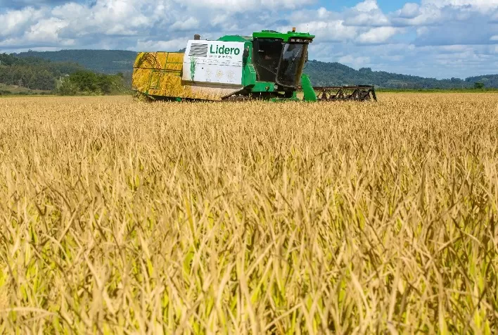 Plantio da soja na rotação de culturas é destaque na Abertura Oficial da Colheita do Arroz