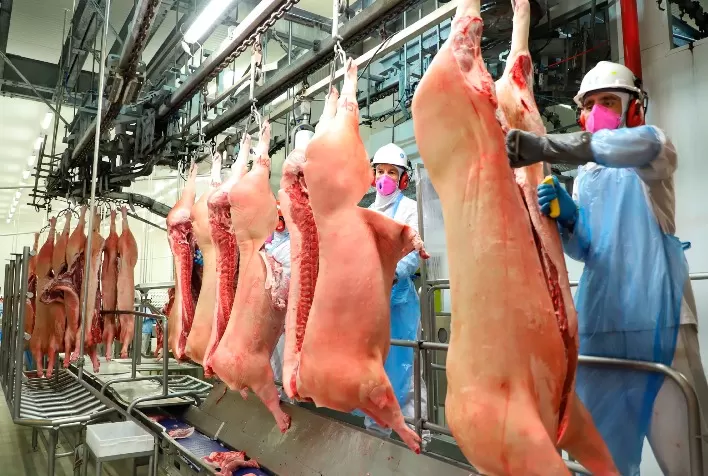 Carne suína atinge valorização expressiva e perde competitividade no mercado atacadista