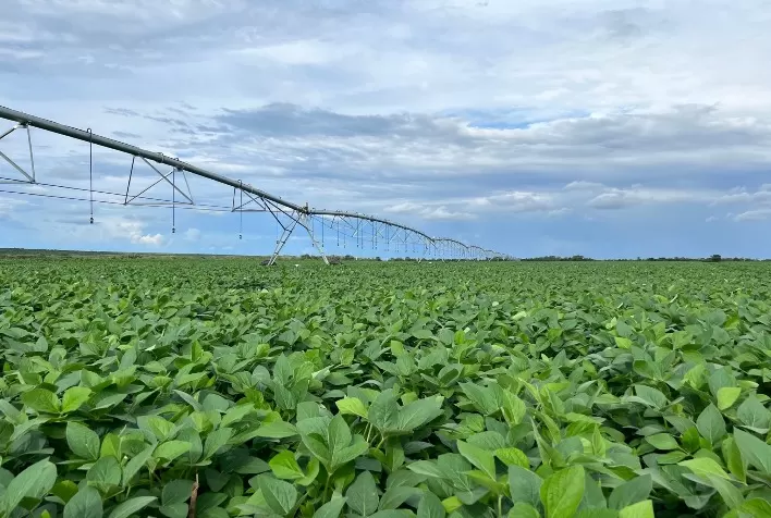 BMG Agro: Investimentos em recursos técnicos e tecnológicos criam cenário de equilíbrio em ano desafiante