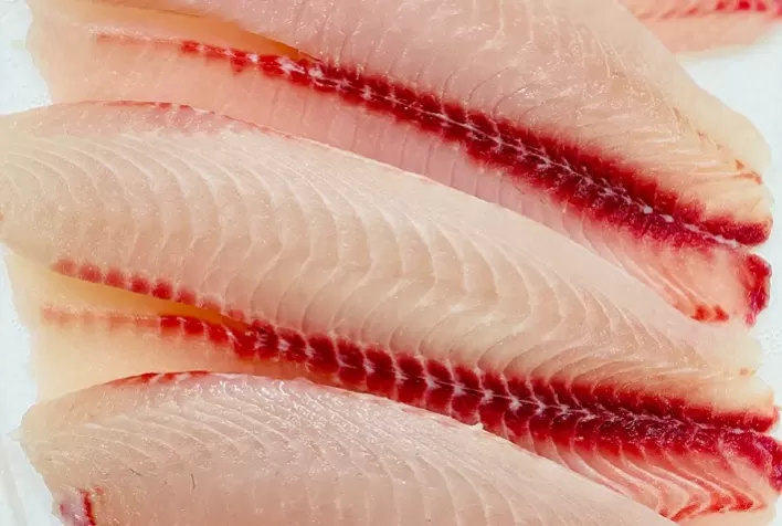 "Mercado brasileiro precisa priorizar empresas que cumpram com suas obrigações ambientais", destaca especialista da Fider Pescados