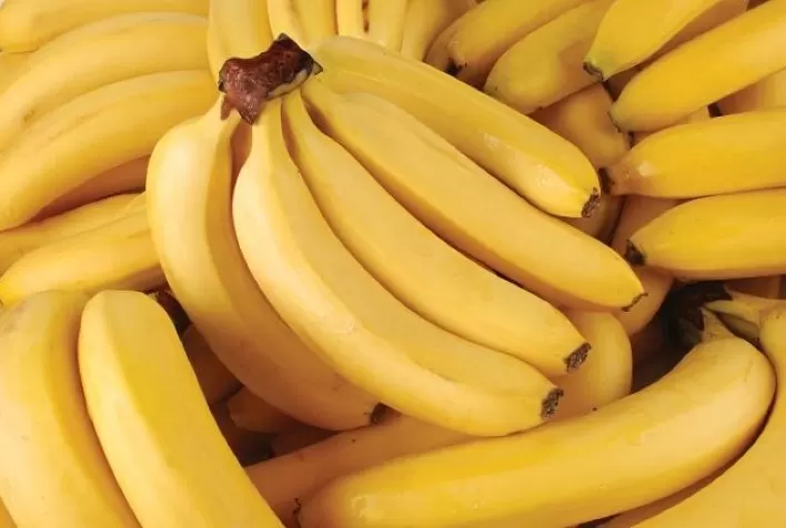 Marco Histórico: Austrália aprova a primeira banana transgênica do mundo