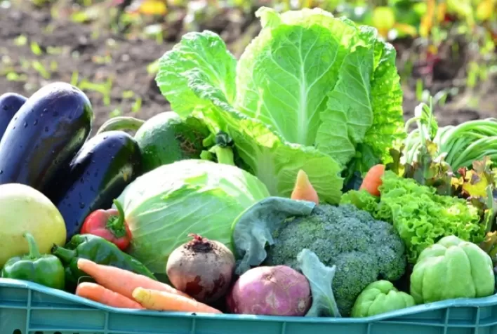 Crescimento histórico: Agricultura orgânica global alcança novos patamares