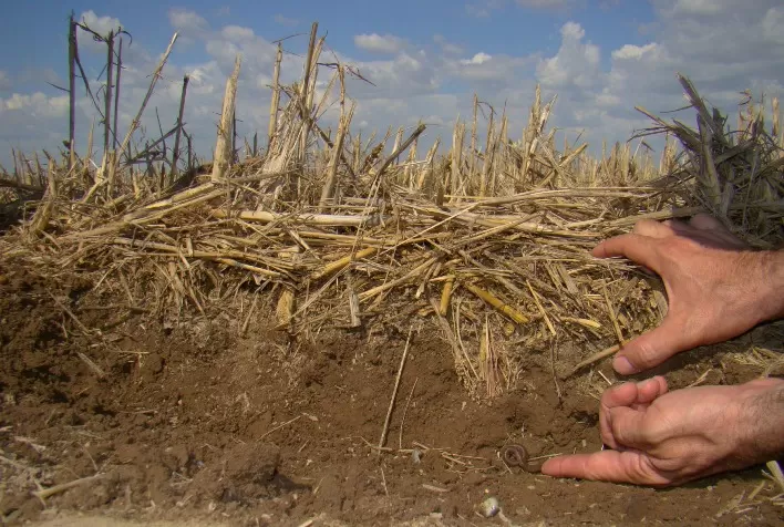 Conservação do solo ajuda a otimizar o gerenciamento da água na agricultura