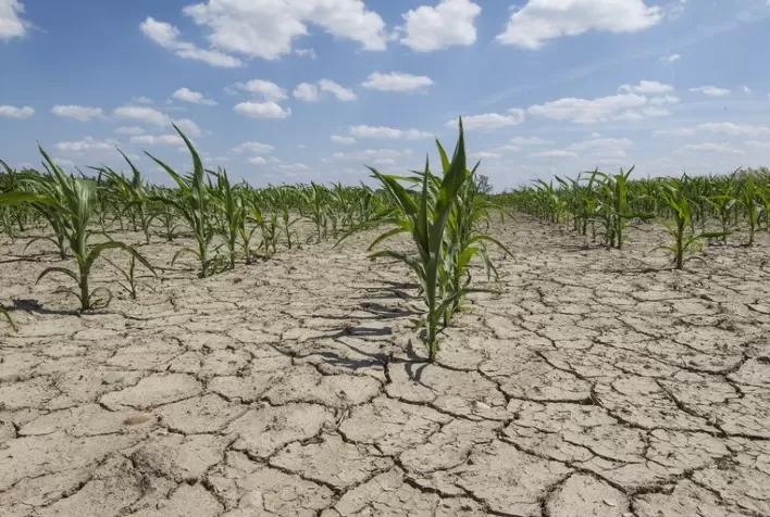 Falta de chuva será um desafio para a “safrinha”, aponta Nottus Meteorologia