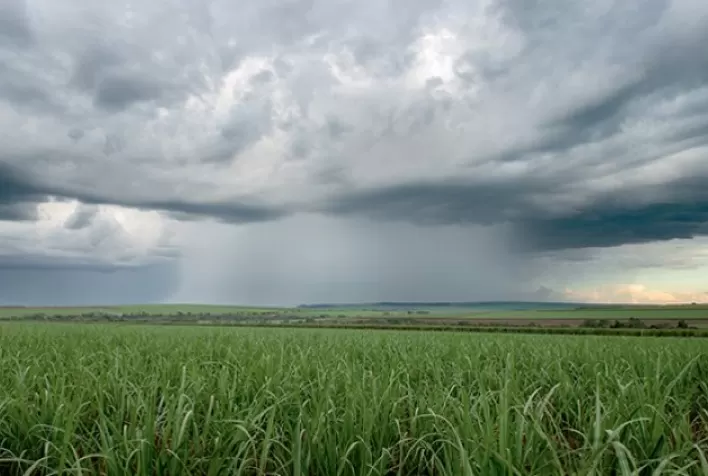 Contratos futuros de açúcar declinam com melhora nas perspectivas climáticas