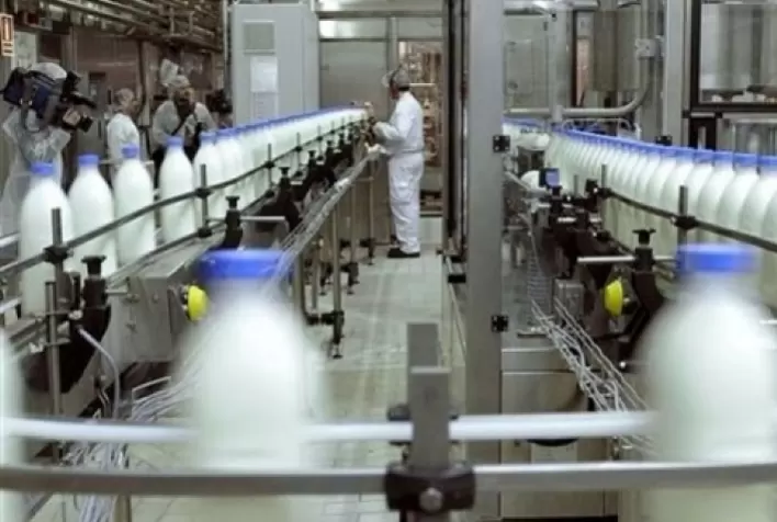 Perspectivas do Mercado Global de Laticínios: Rabobank Anuncia Crescimento na Demanda