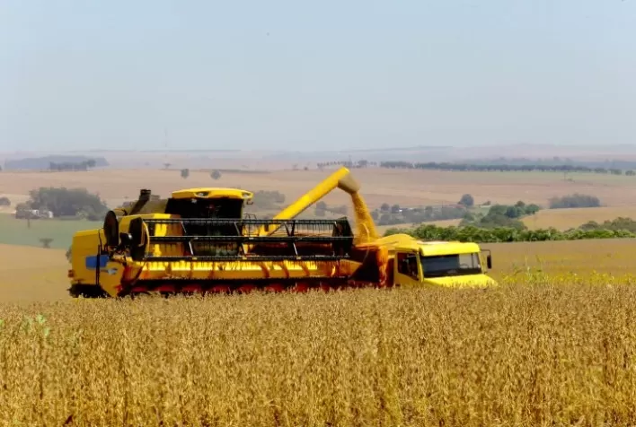 PANORAMA DE MERCADO: Boletim traz levantamento da comercialização de produtos do agronegócio em janeiro